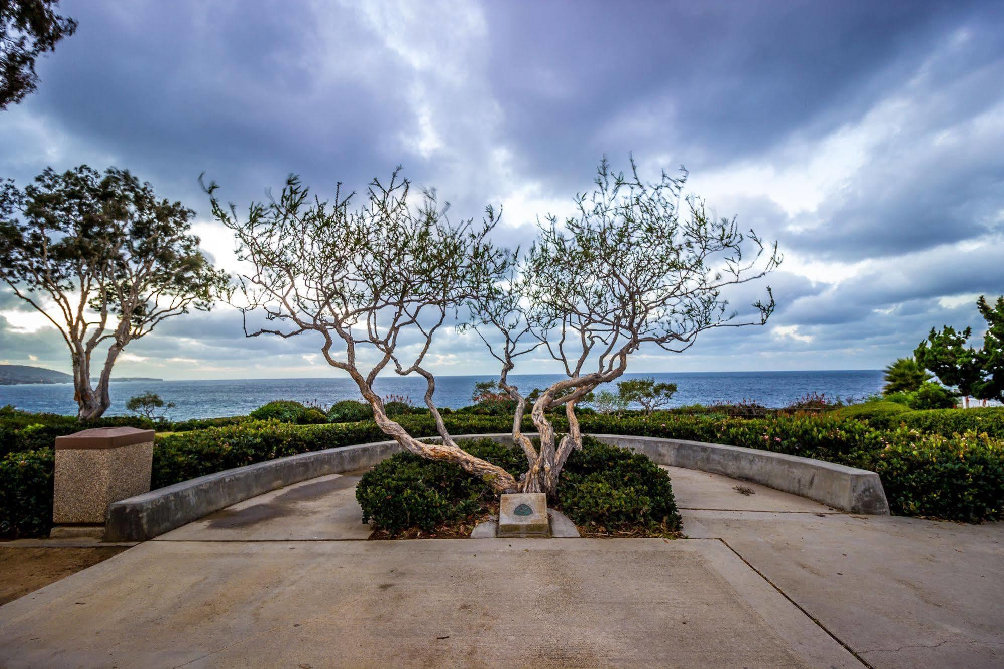 Art Hotel Laguna Beach Exteriör bild
